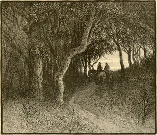 图片来自“男爵沃尔特·斯科特爵士的诗歌作品；经仔细修改后的文本”的第330页，（1888年）