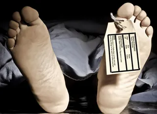 病理图,手,脚心,手指,“ Sallie Mae：高等教育冠军...