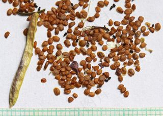 2014.04.05_19.22.16_IMG_7313-10-57