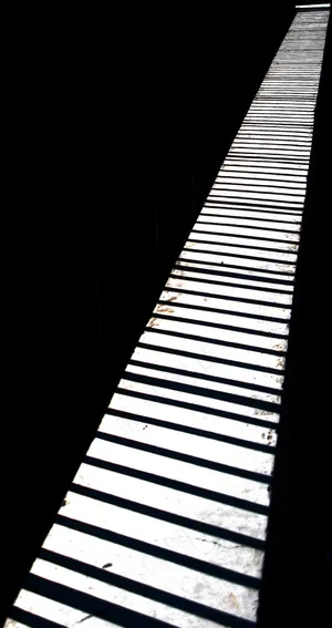 窗户,钢琴琴胆,模糊图片,护栏灯,百叶窗,抽象