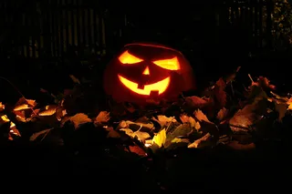 同时在我的花园里