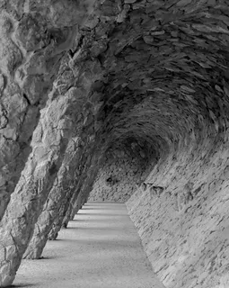 地下通道,树,钢笔画,素描,地板砖,巴塞罗那奎尔公园