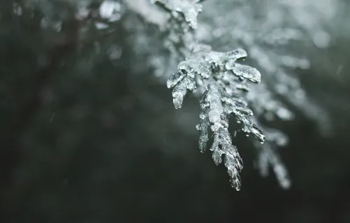 ❄冻伤❄9/13 ❄冻伤❄9/13