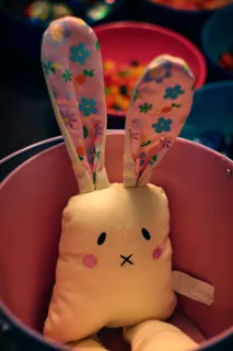 玩具,台灯,人体器官,冰棒,,这个兔子还需要一个名字