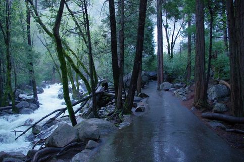 IMGP4294 Brival Veil Vista Path在0552am