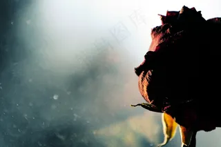 眼睛发红，流下眼泪