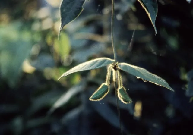 哥伦比亚亚马逊02
