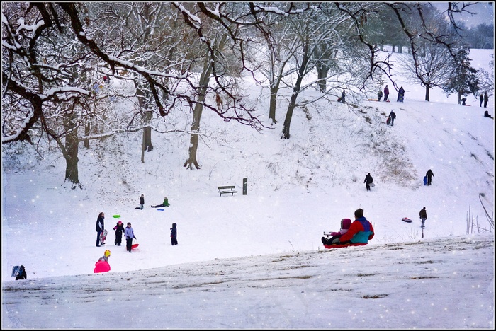 拉雪橇！