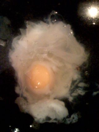 卫星云图,氢弹,荷包蛋,煎鸡蛋,棉花,鬼蛋