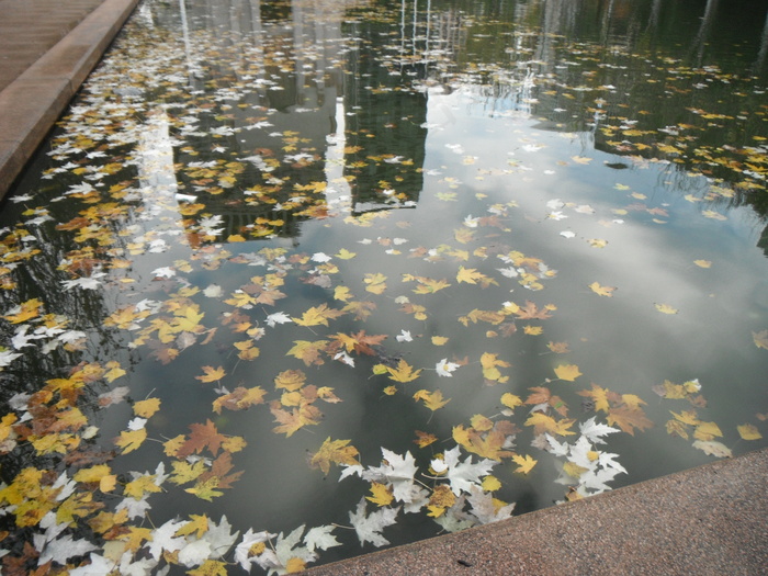 杂物池