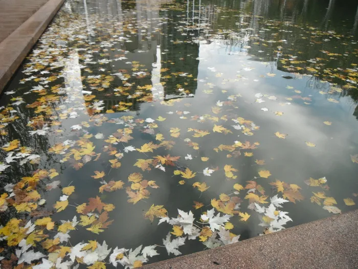 杂物池