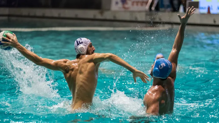 人物活动,水球运动,水上芭蕾,小狗,花样泳,射击！