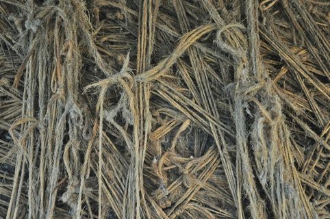 明尼苏达州达尔文市07