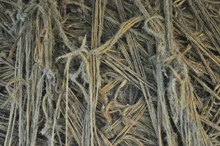 明尼苏达州达尔文市07