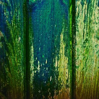 竹林,竹子,生态林,自然/人文景观,桌面绿植,铜绿