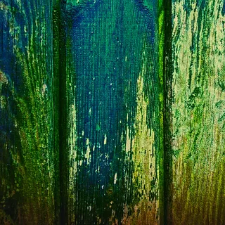 竹林,竹子,生态林,自然/人文景观,桌面绿植,铜绿