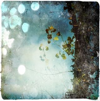 仙女们在哪里玩