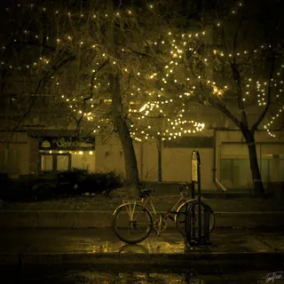 蒙特利尔的雨夜