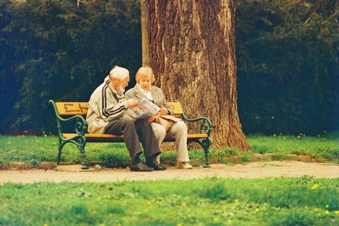 油画,婚纱写真,生态林,麦田,草原,Praktica MTL 5 + Pentacon Electric 4/200 MC-长凳上的老年夫妇