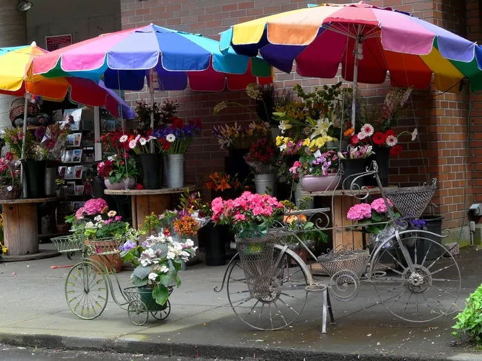 雨伞,露天咖啡,帐篷,集市,遮阳伞,花店
