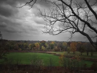 树,图画,湖泊,天空,风景,称义来自上帝的怜悯