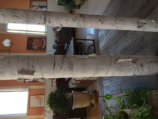 室内,建筑,厨房,门,墙,神话般的人造桦树