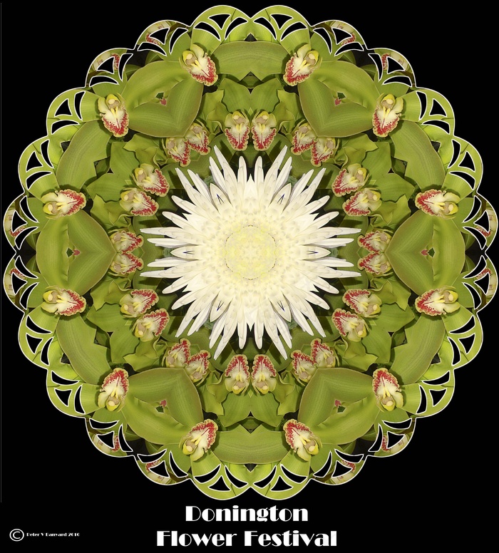 帝王花,圆形图案,麦秆菊,吉祥图案,圣体匣,Donington-Flower-Festival-10-interior-06b-display-floral-kal01-