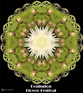 帝王花,圆形图案,麦秆菊,吉祥图案,圣体匣,Donington-Flower-Festival-10-interior-06b-display-floral-kal01-