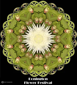 帝王花,圆形图案,麦秆菊,吉祥图案,圣体匣,Donington-Flower-Festival-10-interior-06b-display-floral-kal01-