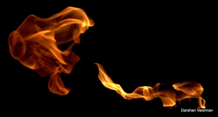 火焰特效,花卉,绳子,工艺品,手,咆哮的狮子！