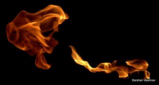 火焰特效,花卉,绳子,工艺品,手,咆哮的狮子！