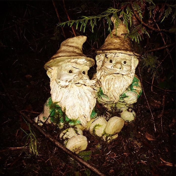 #gnomes在丛林中。每次我经过时，他们都在不同的地方。