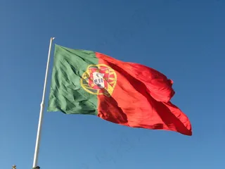 旗帜,旗杆,玫瑰花,雨伞,,葡萄牙国旗