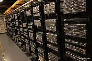 货架,笼子,鸟类,包,柜子,IMG_9335