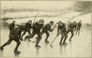 图片来自“乡村生活阅读器”（1916年）第304页