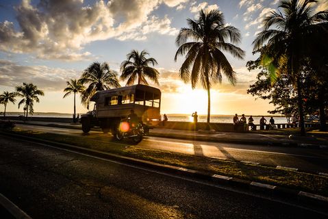 椰子树,海洋,椰树,天空,树,古巴
