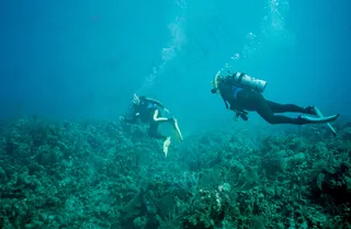 水肺潜水：瑞克和佩奇