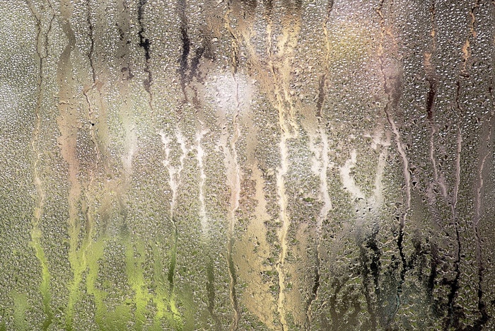 树,玻璃,头发,烟花大会,纹理图,Buéejaune et vert