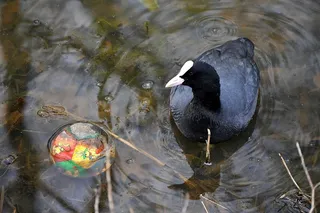 斯皮尔泽格·安德勒·鲁特