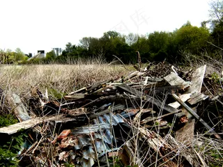 地质岩石土壤,树,坠毁现场,失事飞机,风景,浪费