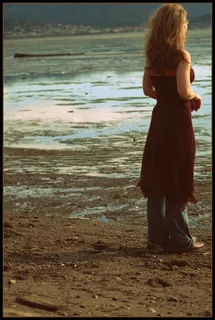 像水仙花和郁金香一样美丽