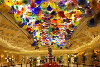 餐饮场所,花卉,吸顶灯,澳门赌场,玩具,贝拉焦的天花板