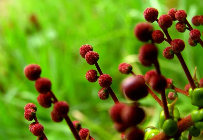 Nem tudo na vidasãoflores! Nem tudo na vidasãoflores!