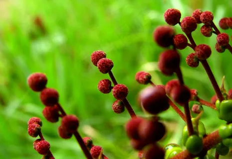 Nem tudo na vidasãoflores! Nem tudo na vidasãoflores!