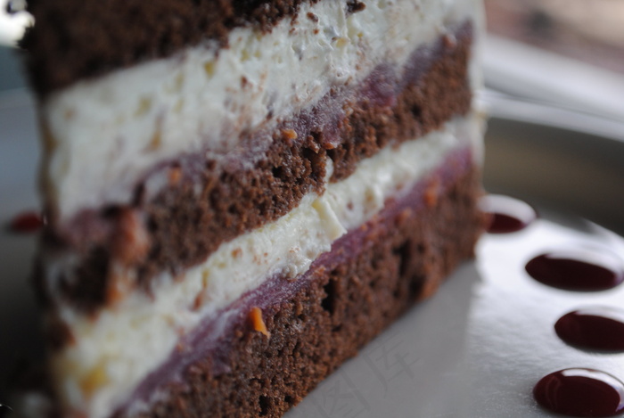 蛋糕,甜品,鸟类,工艺品,沙发,黑森林蛋糕