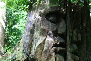 史丹利公园的树雕雕塑