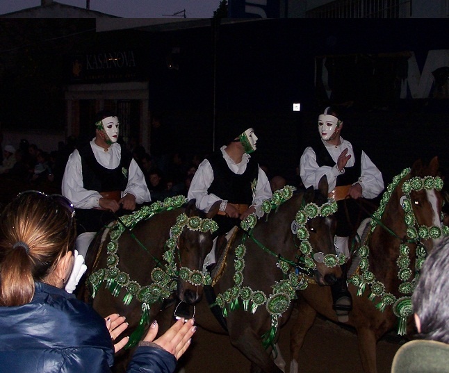 合照,电视屏幕,祭祀,盆栽植物,卡通动漫人物,Pariglie Sartiglia 2012年3