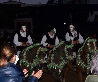 合照,电视屏幕,祭祀,盆栽植物,卡通动漫人物,Pariglie Sartiglia 2012年3