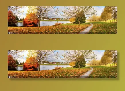 枫树,油画,峡谷,花海,枫叶,Tokoroa-完美的秋天色彩！