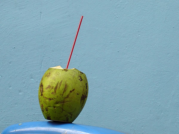 椰子,工艺品,梨子,芒果,甜品,萨尔瓦多2006_DSC08733
